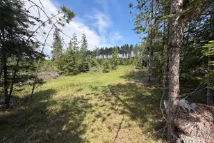 W6486 Snow Rd, Daggett, MI 49821 - Photo 29
