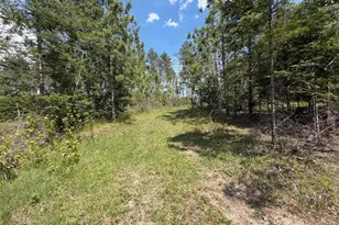 W6486 Snow Rd, Daggett, MI 49821 - Photo 25