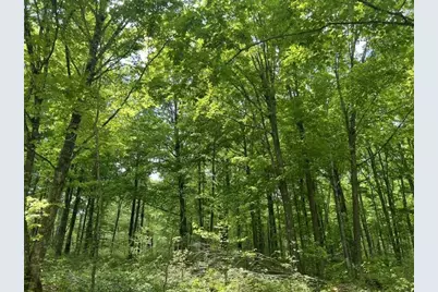 N13092 Limberg Lane, Athelstane, WI 54104 - Photo 19