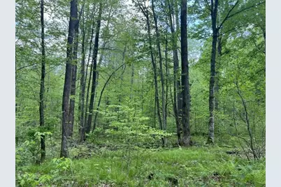N13092 Limberg Lane, Athelstane, WI 54104 - Photo 21