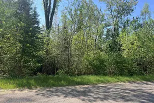 Forest Hill Dr, Townsend, WI 54175 - Photo 1