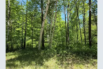 Wilderness Trail, Green Bay, WI 54313 - Photo 1