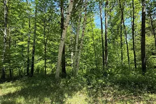 Wilderness Trail, Green Bay, WI 54313 - Photo 1