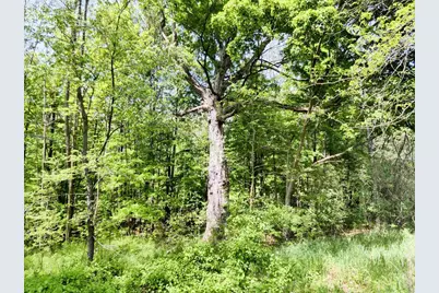 455 Bialozynski Road, Pulaski, WI 54162 - Photo 47
