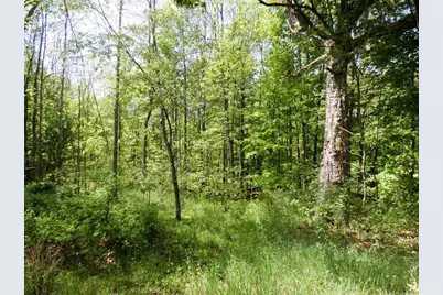 455 Bialozynski Road, Pulaski, WI 54162 - Photo 49