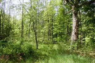 455 Bialozynski Rd, Pulaski, WI 54162 - Photo 49