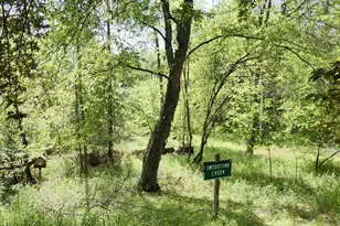 455 Bialozynski Rd, Pulaski, WI 54162 - Photo 45