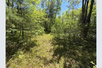 W10285 Cole Creek Lane, Dunbar, WI 54119 - Photo 29