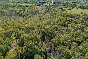 N6814 Springbrook Rd, Cecil, WI 54111 - Photo 13