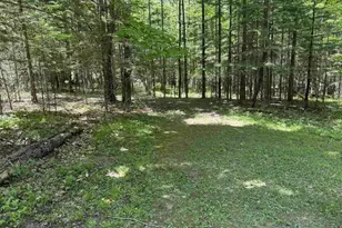 14751 Hatchery Ln, Lakewood, WI 54138 - Photo 5