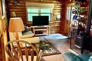 14751 Hatchery Ln, Lakewood, WI 54138 - Photo 9
