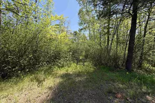 Rangeline Dr, Menominee, MI 49858 - Photo 1