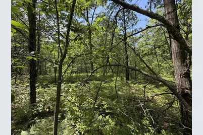North Court, Shawano, WI 54166 - Photo 7