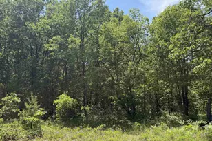 North Ct, Shawano, WI 54166 - Photo 1