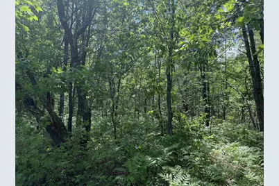 North Court, Shawano, WI 54166 - Photo 5