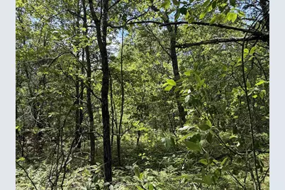 North Court, Shawano, WI 54166 - Photo 9