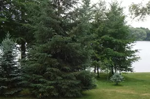 305 Riverview Dr, Marion, WI 54950 - Photo 25