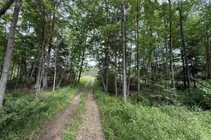 N7794 Kolpack Ln, Bowler, WI 54416 - Photo 25