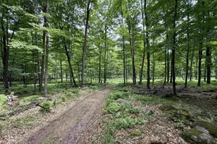 N7794 Kolpack Ln, Bowler, WI 54416 - Photo 29