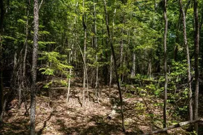 Hwy 57, Sister Bay, WI 54234 - Photo 7