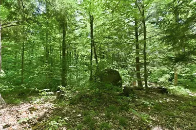 14754 N McComb Lake Lane, Mountain, WI 54149 - Photo 59
