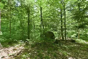 14754 N McComb Lake Ln, Mountain, WI 54149 - Photo 59