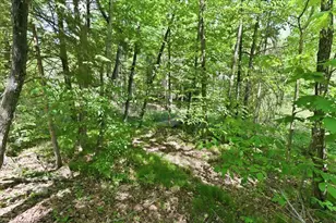 14754 N McComb Lake Ln, Mountain, WI 54149 - Photo 73