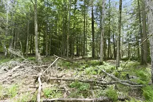 14754 N McComb Lake Ln, Mountain, WI 54149 - Photo 65