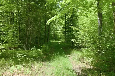 14754 N McComb Lake Lane, Mountain, WI 54149 - Photo 57