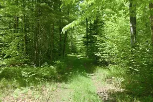 14754 N McComb Lake Ln, Mountain, WI 54149 - Photo 57