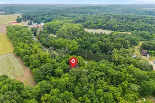 N1146 County Rd Nz, Neshkoro, WI 54982 - Photo 53