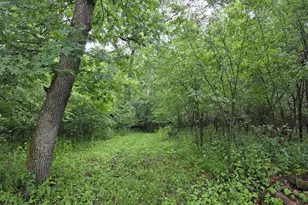 N4463 County Rd MM, Wautoma, WI 54982 - Photo 31