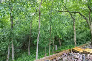N7914 Creekside Dr, Sherwood, WI 54169 - Photo 51