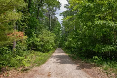 Pine Tree Road, Sturgeon Bay, WI 54235 - Photo 5