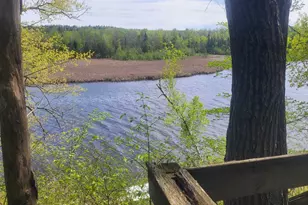 6615 Birchwood Shores Ln, Oconto Falls, WI 54154 - Photo 3