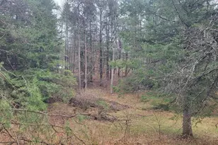 9332 Deer Lake Rd, Crivitz, WI 54114 - Photo 39