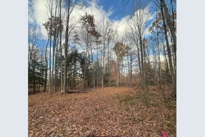 Spring Lake Drive, Sobieski, WI 54171 - Photo 5