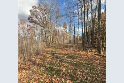 Spring Lake Drive, Sobieski, WI 54171 - Photo 3