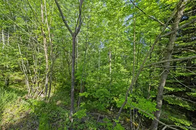 N12184 Long Lake Road, Wausaukee, WI 54177 - Photo 47