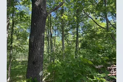 Rhett Lane, Wausaukee, WI 54177 - Photo 3