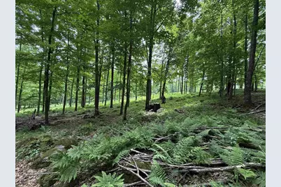 N7794 Kolpack Lane, Bowler, WI 54416 - Photo 35