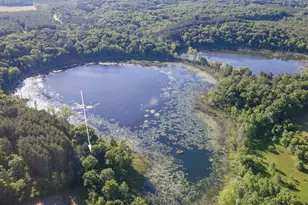 N6958 N Lake Dr, Wild Rose, WI 54984 - Photo 11