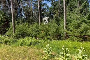 E6889 Guth Rd, Weyauwega, WI 54983 - Photo 31