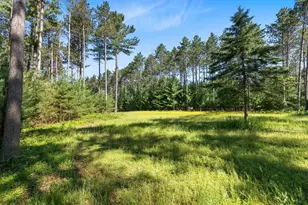 E6889 Guth Rd, Weyauwega, WI 54983 - Photo 41