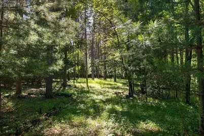 E6889 Guth Road, Weyauwega, WI 54983 - Photo 37