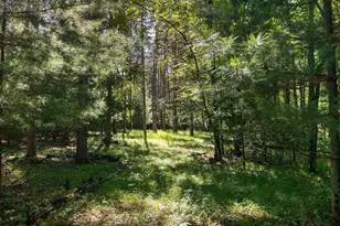 E6889 Guth Rd, Weyauwega, WI 54983 - Photo 37
