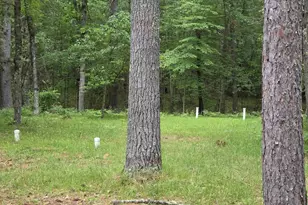 N13300 Pike River Rd, Wausaukee, WI 54177 - Photo 39