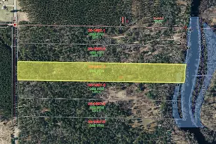 N13300 Pike River Rd, Wausaukee, WI 54177 - Photo 35