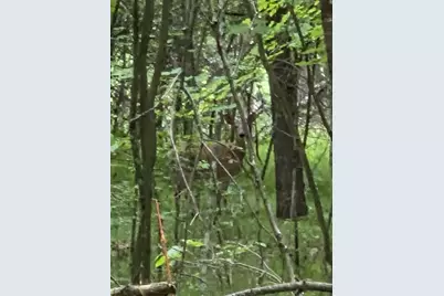 N13300 Pike River Road, Wausaukee, WI 54177 - Photo 21