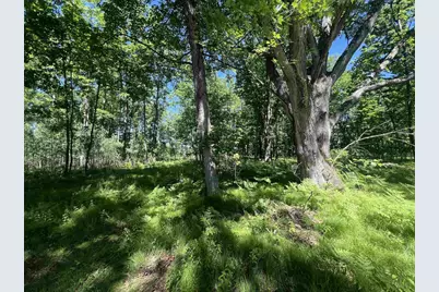 Rhett Lane, Wausaukee, WI 54177 - Photo 3